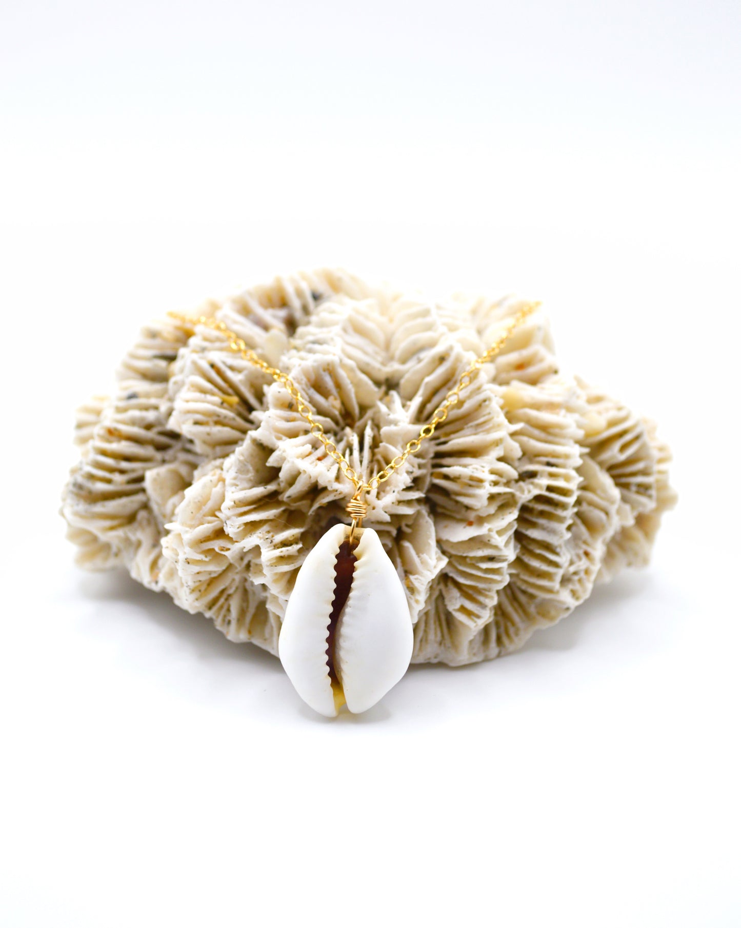 Purple Top Money Cowrie Necklace