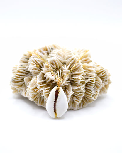 Purple Top Money Cowrie Necklace