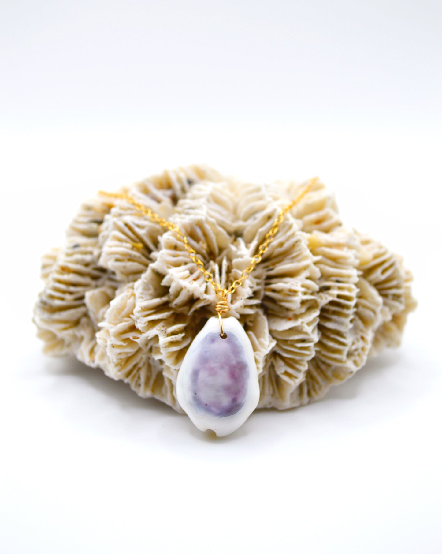 Purple Top Money Cowrie Necklace