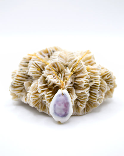 Purple Top Money Cowrie Necklace
