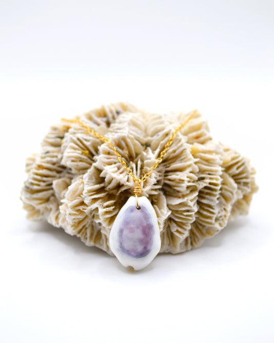 Purple Top Money Cowrie Necklace