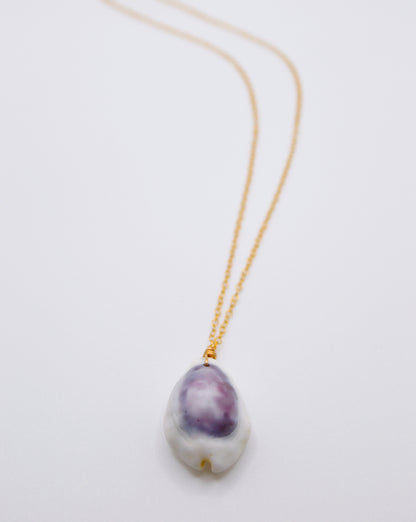 Purple Top Money Cowrie Necklace