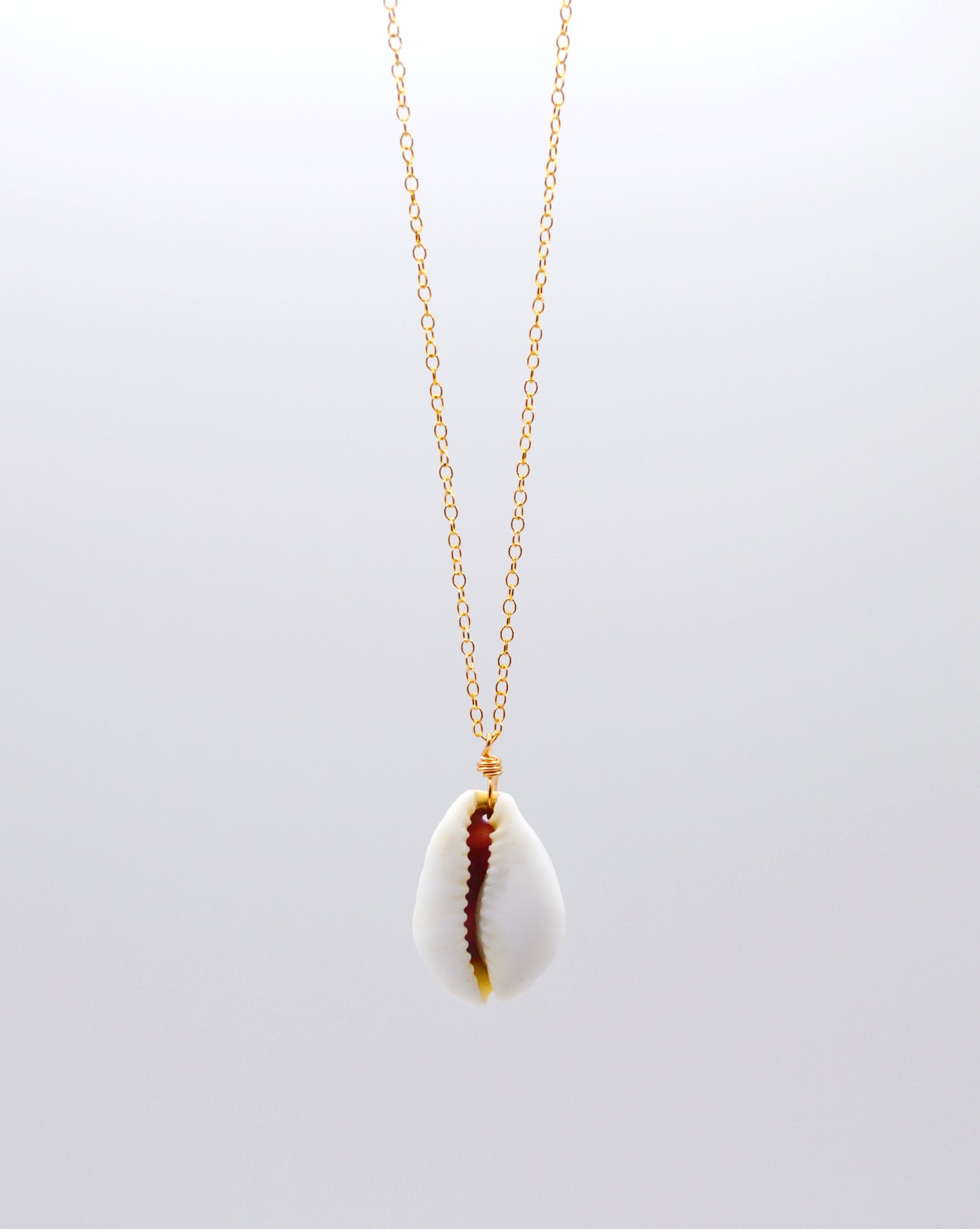 Purple Top Money Cowrie Necklace