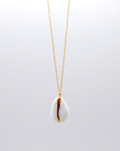 Purple Top Money Cowrie Necklace