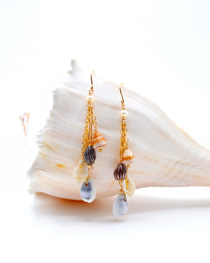 Tiny Shell Earrings