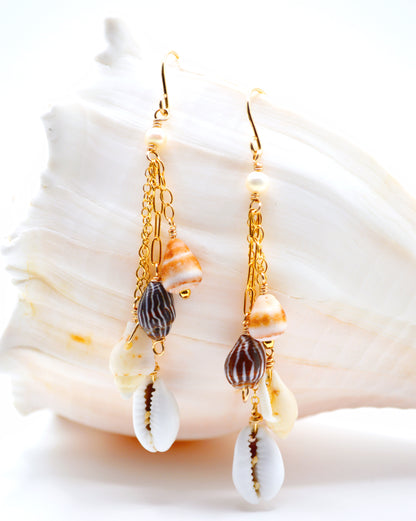 Tiny Shell Earrings