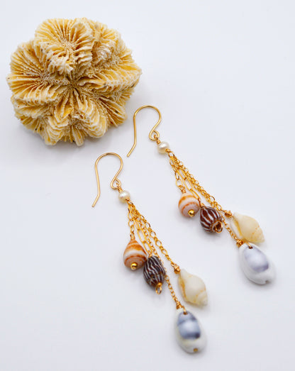 Tiny Shell Earrings