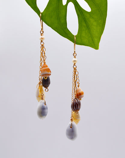 Tiny Shell Earrings