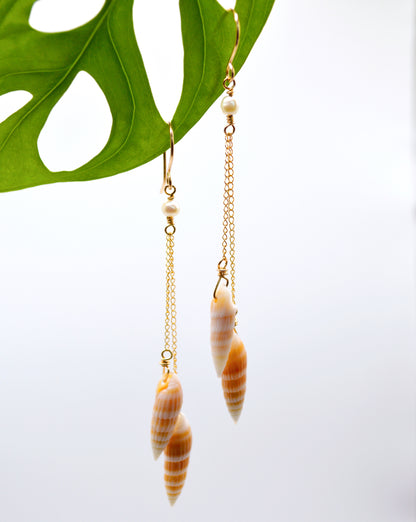 Shiny Auger Shell Earrings
