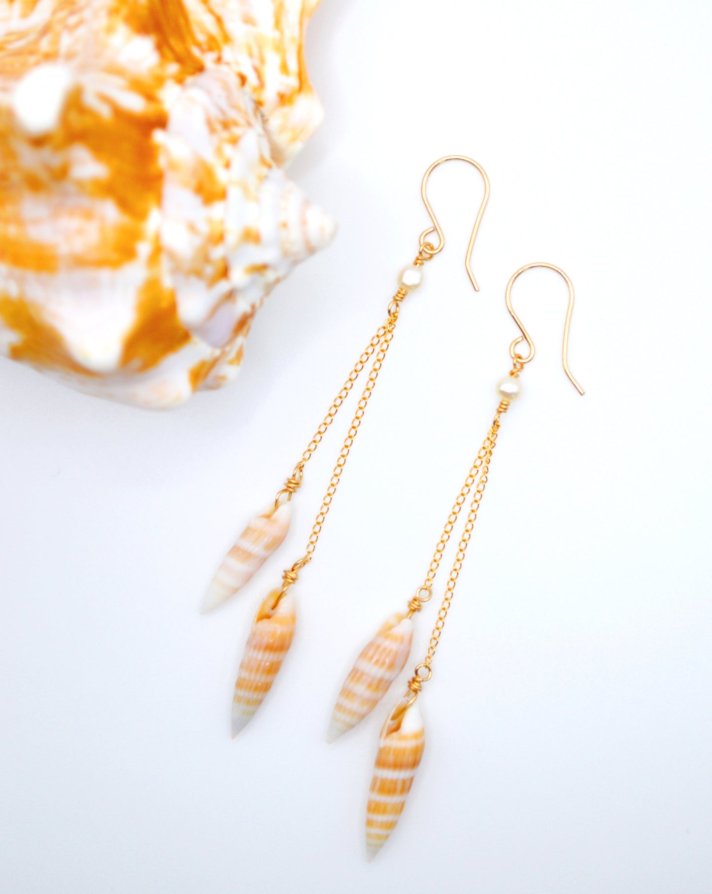 Shiny Auger Shell Earrings