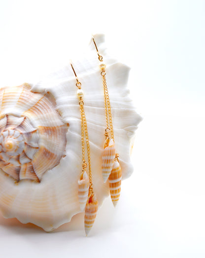 Shiny Auger Shell Earrings