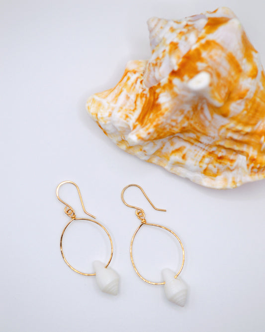 Cone Shell Hoop Earrings